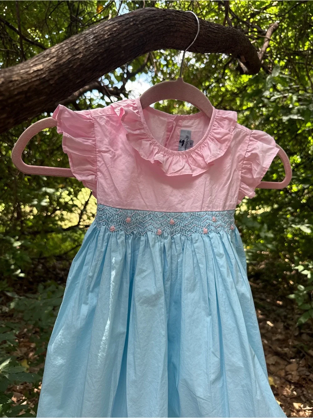 Girls Pink & Light Blue Smocked Ruffle Dress